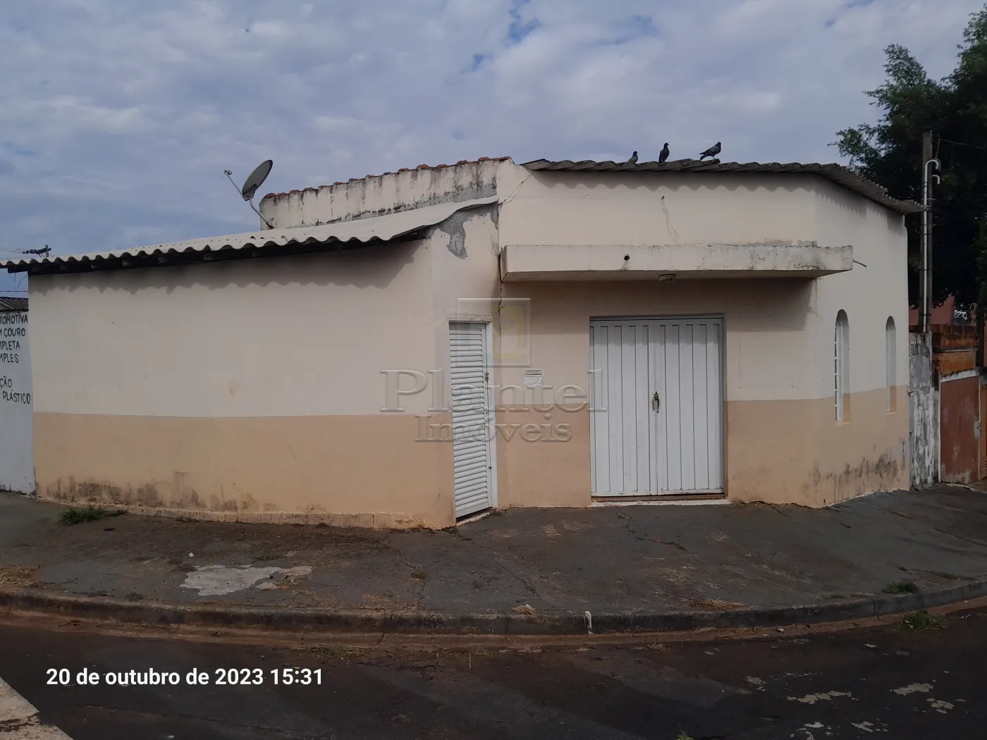 Imóveis com 2 quartos à venda em Vila Elisa, Ribeirão Preto, SP - ZAP  Imóveis
